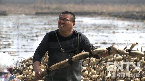 致富种植什么比较赚大钱_致富经种植_致富种植养殖