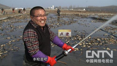 致富种植养殖_致富经种植_致富种植什么比较赚大钱